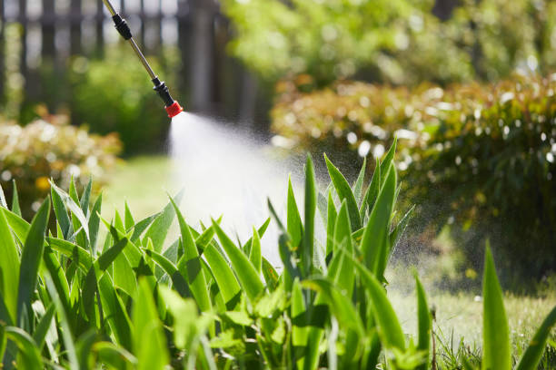 24/7 Emergency Ant Control experts in Somerton, AZ