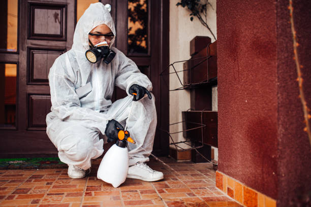 Reliable Ant Control contractor in Somerton, AZ by Show Me Pest Control